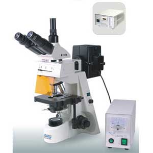 SRF-210- میکروسکوپ آزمایشگاهی ساده فلورسانس اس آر اس SRS