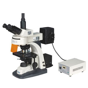 SRF-606- میکروسکوپ فلورسانس تحقیقاتی اس آر اس SRS